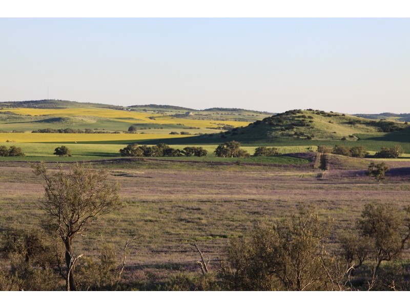 393 Isseka Road East, Bowes WA 6535