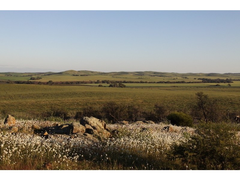 393 Isseka Road East, Bowes WA 6535