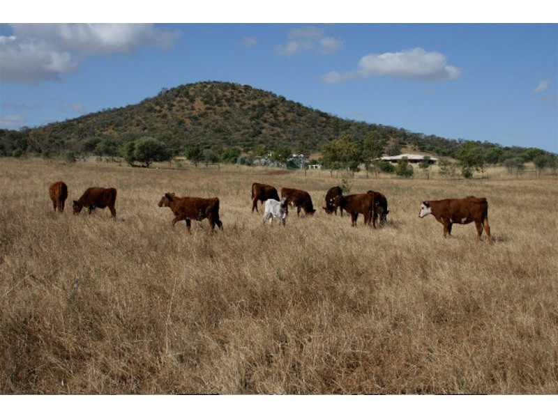 393 Isseka Road East, Bowes WA 6535