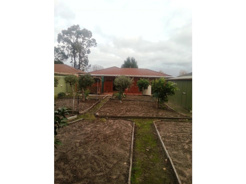 13 Marinda Drive, Skye VIC 3977