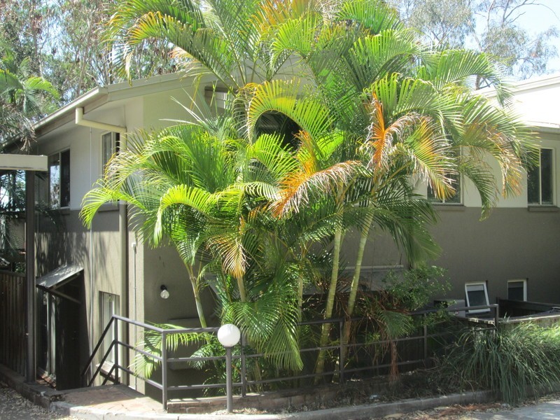 7/1  Glenquarie place, The Gap QLD 4061