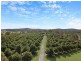 3190 Beaudesert-Beenleigh Road, Birnam QLD 4285