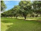 3190 Beaudesert-Beenleigh Road, Birnam QLD 4285