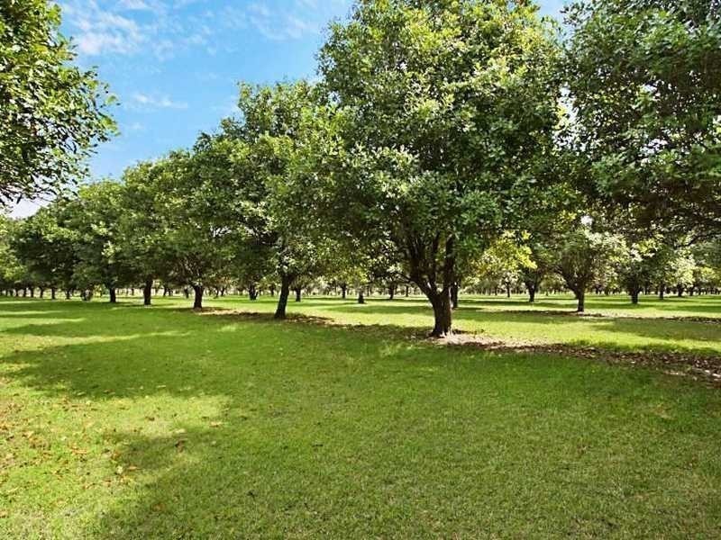 3190 Beaudesert-Beenleigh Road, Birnam QLD 4285