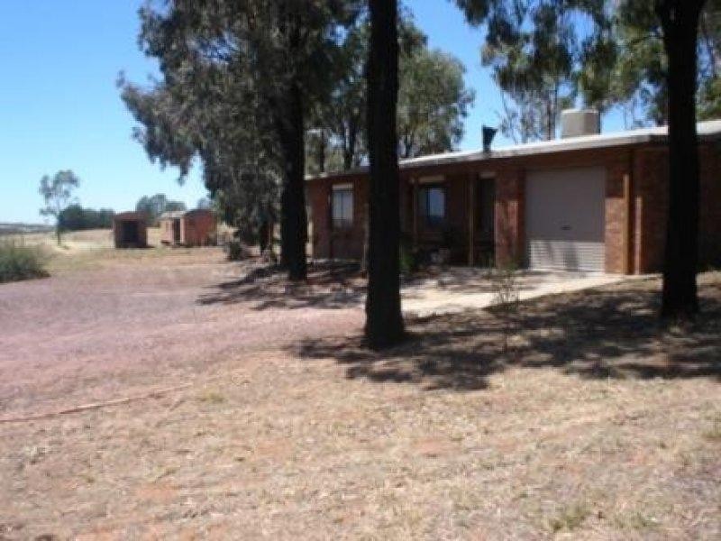 Lot 5, 304 Tabain Rd Corbie Hill, Leeton NSW 2705