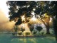 100 Balpool Rd, Swan Hill VIC 3585