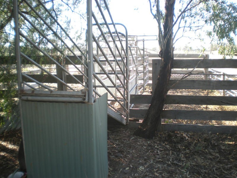 100 Balpool Rd, Swan Hill VIC 3585