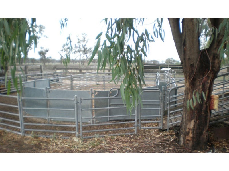 100 Balpool Rd, Swan Hill VIC 3585