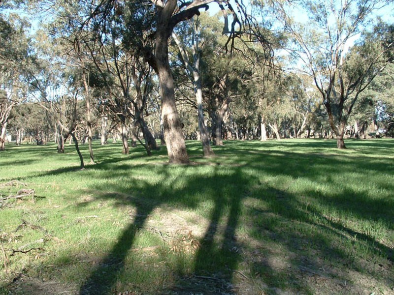 100 Balpool Rd, Swan Hill VIC 3585