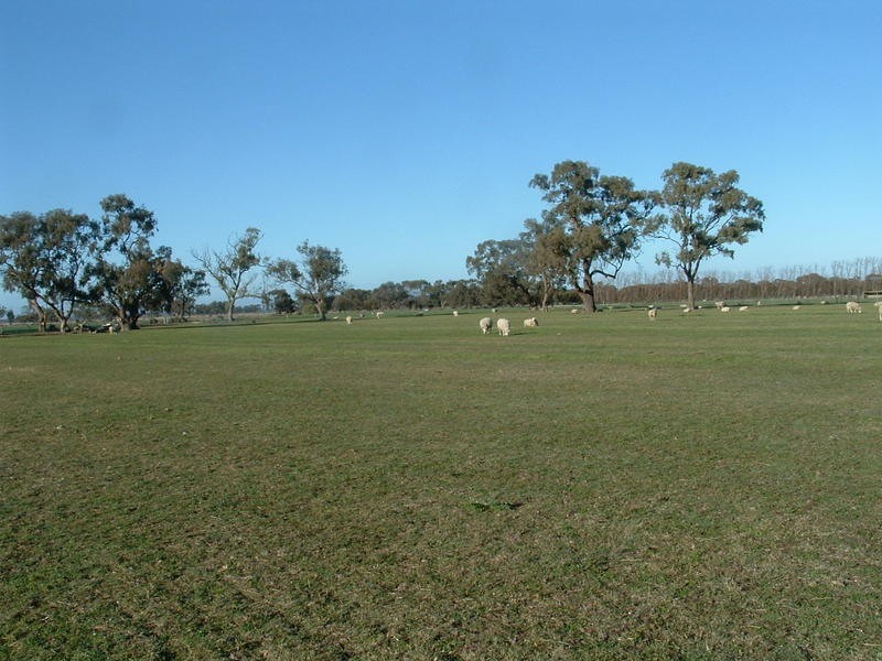 100 Balpool Rd, Swan Hill VIC 3585