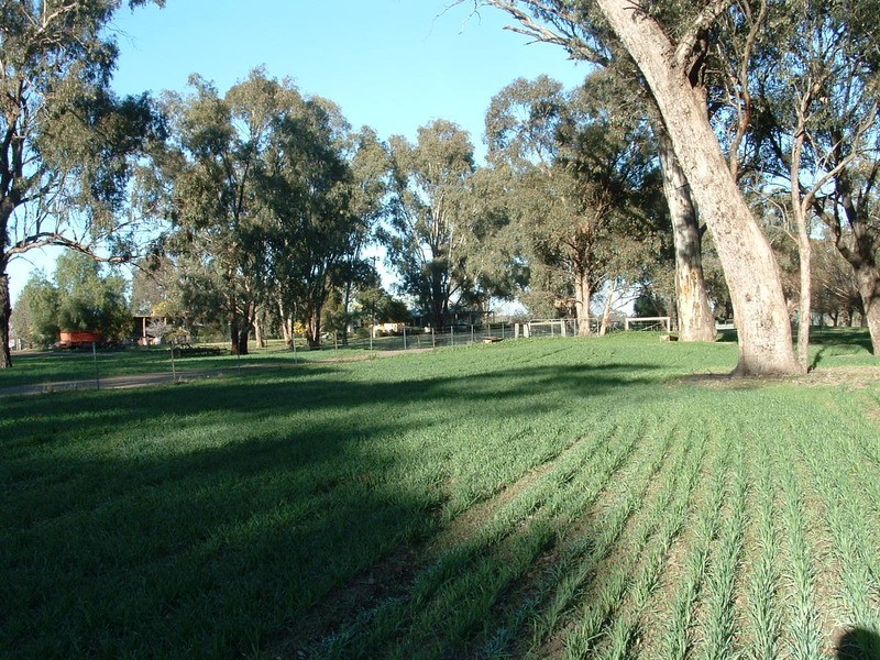 100 Balpool Rd, Swan Hill VIC 3585