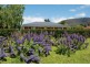 3 Perrys Rd, Woodbridge TAS 7162
