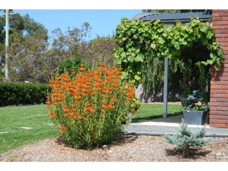 3 Perrys Rd, Woodbridge TAS 7162