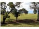 132/211 Punkalla Tilba Road, Central Tilba NSW 2546