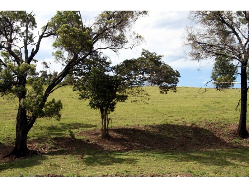 132/211 Punkalla Tilba Road, Central Tilba NSW 2546