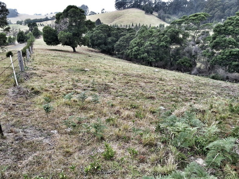 132/211 Punkalla Tilba Road, Central Tilba NSW 2546