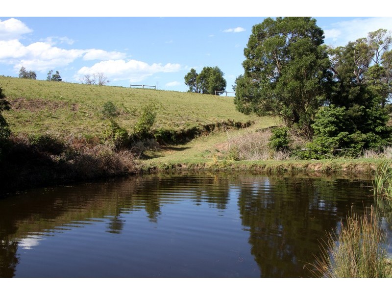 132/211 Punkalla Tilba Road, Central Tilba NSW 2546