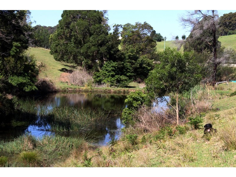 132/211 Punkalla Tilba Road, Central Tilba NSW 2546