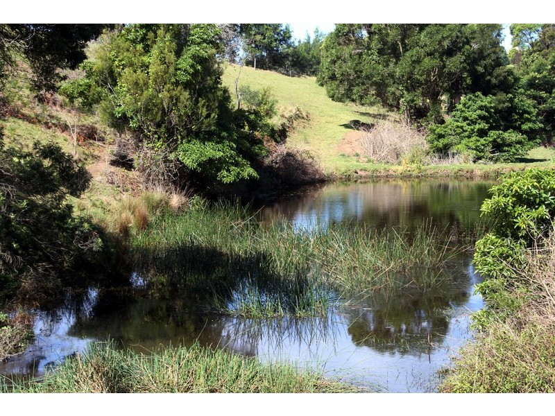 132/211 Punkalla Tilba Road, Central Tilba NSW 2546