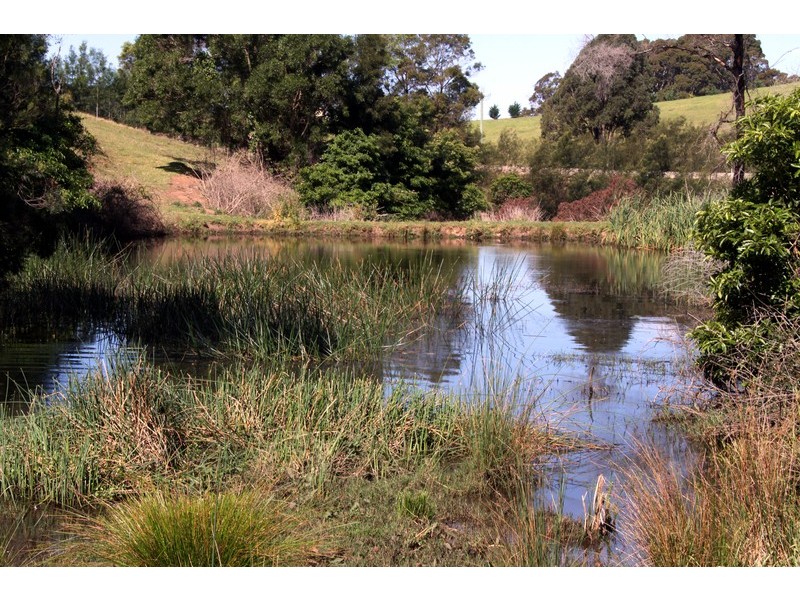 132/211 Punkalla Tilba Road, Central Tilba NSW 2546