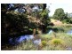 132/211 Punkalla Tilba Road, Central Tilba NSW 2546