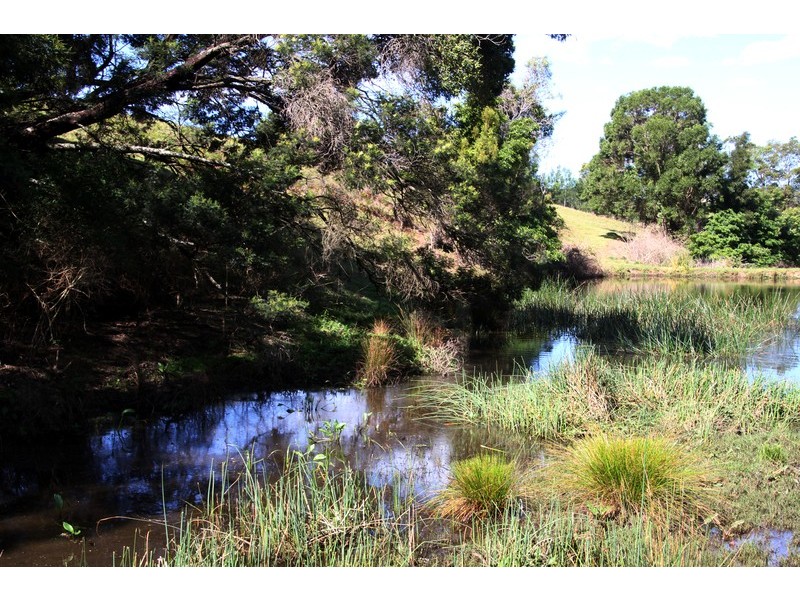 132/211 Punkalla Tilba Road, Central Tilba NSW 2546