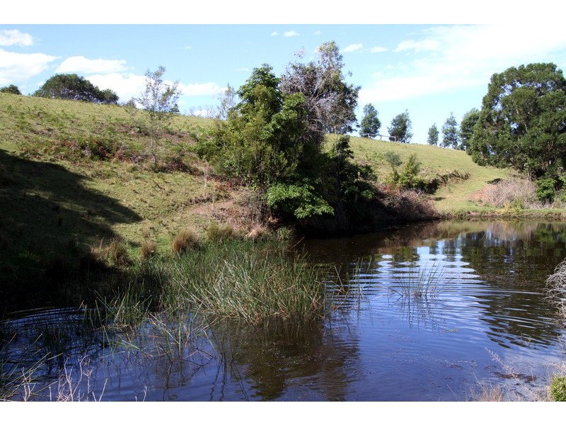 132/211 Punkalla Tilba Road, Central Tilba NSW 2546