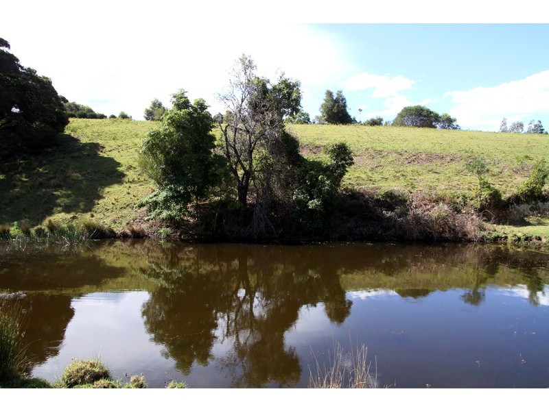 132/211 Punkalla Tilba Road, Central Tilba NSW 2546