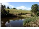 132/211 Punkalla Tilba Road, Central Tilba NSW 2546