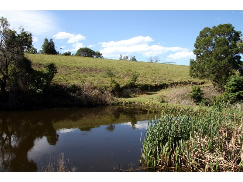 132/211 Punkalla Tilba Road, Central Tilba NSW 2546