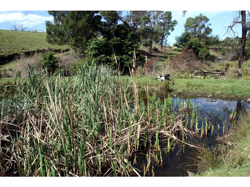 132/211 Punkalla Tilba Road, Central Tilba NSW 2546