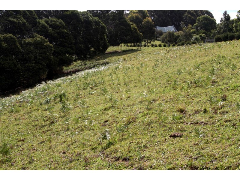 132/211 Punkalla Tilba Road, Central Tilba NSW 2546