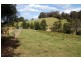 132/211 Punkalla Tilba Road, Central Tilba NSW 2546