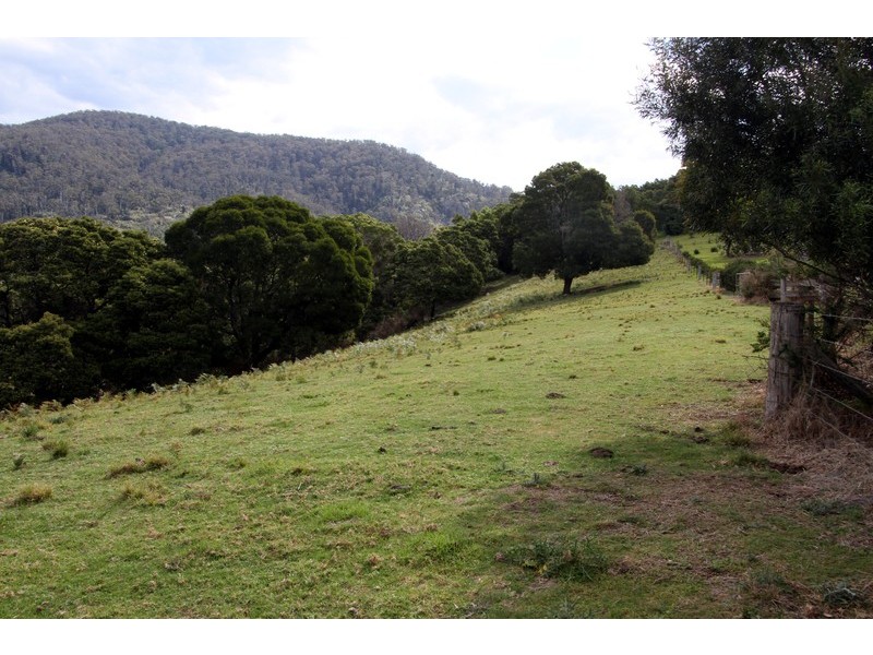 132/211 Punkalla Tilba Road, Central Tilba NSW 2546