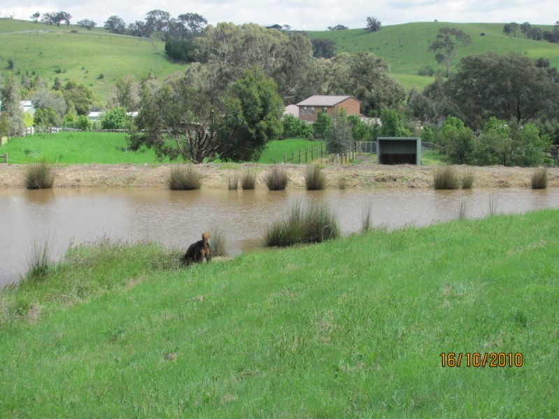 35 Minchins Road, Arthurs Creek VIC 3099