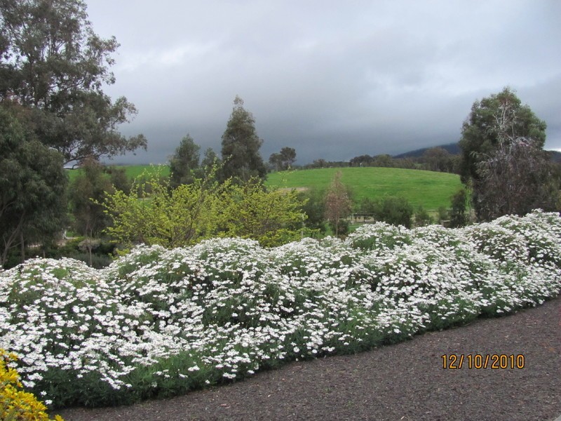 35 Minchins Road, Arthurs Creek VIC 3099