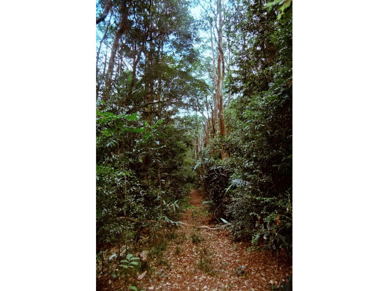 Goonengerry NSW 2482