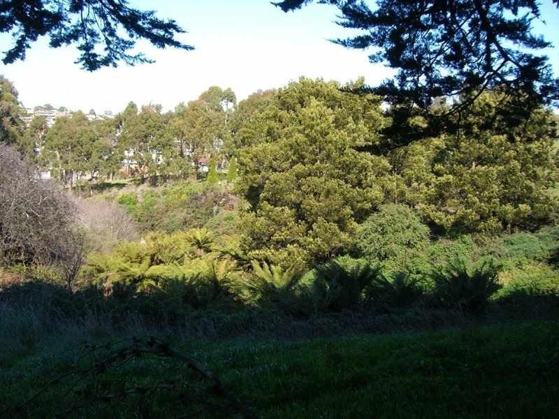 298 Mount Street, Burnie TAS 7320