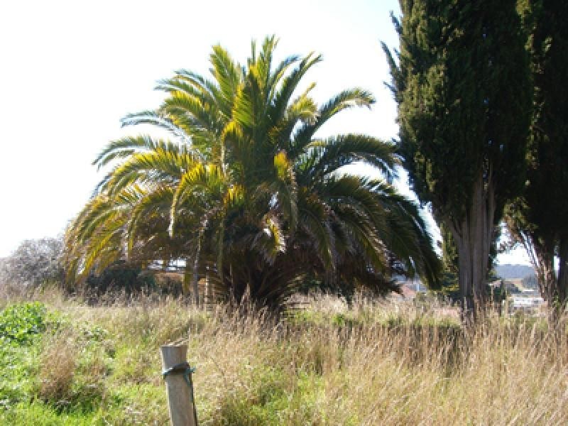 298 Mount Street, Burnie TAS 7320
