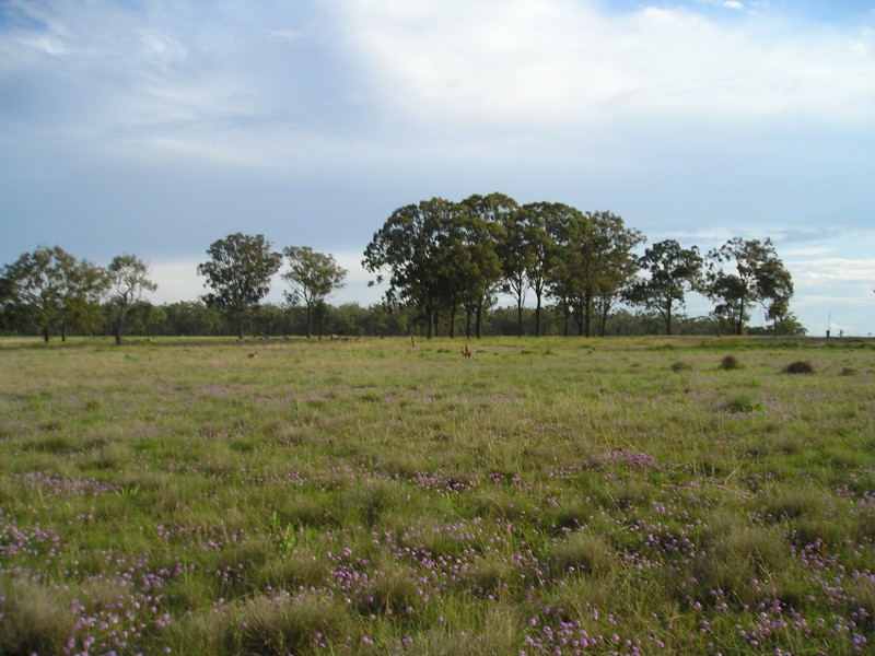 2110 Gore Hiway, Southbrook QLD 4363