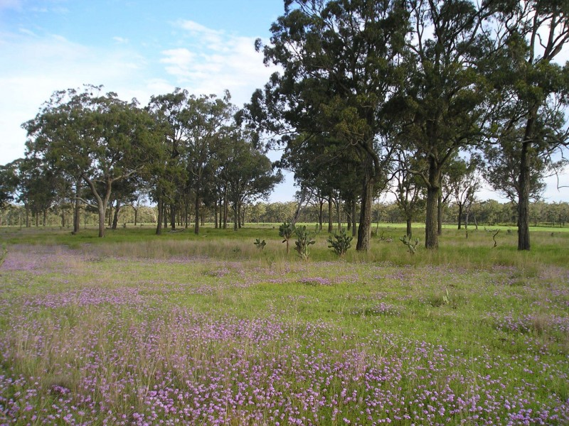 2110 Gore Hiway, Southbrook QLD 4363