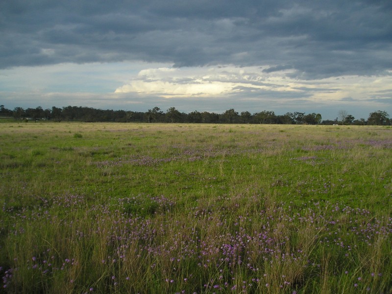 2110 Gore Hiway, Southbrook QLD 4363