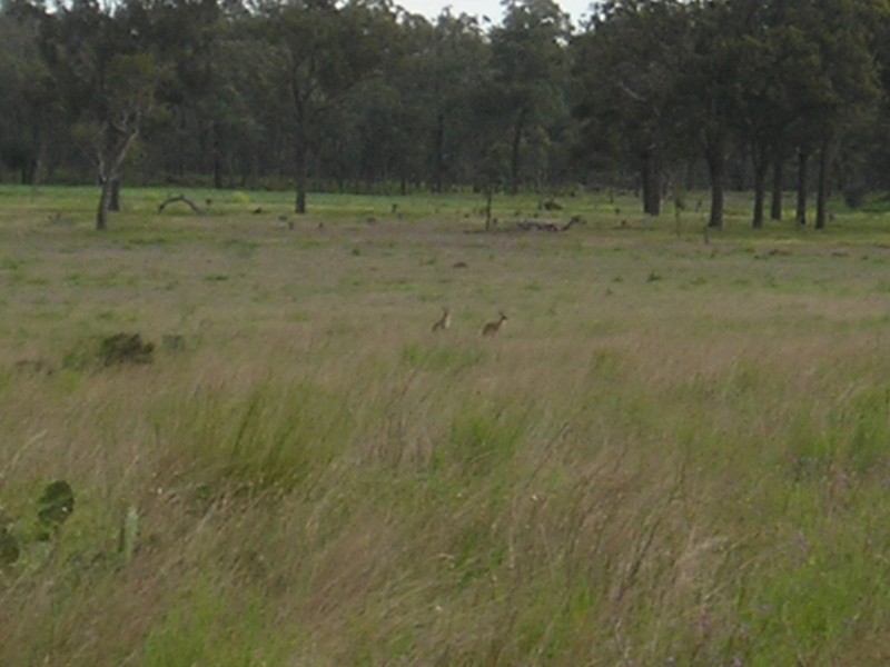 2110 Gore Hiway, Southbrook QLD 4363