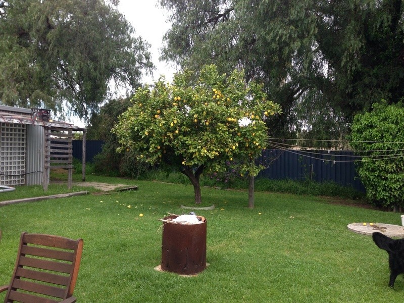 27 Johnstone Street, Boddington WA 6390