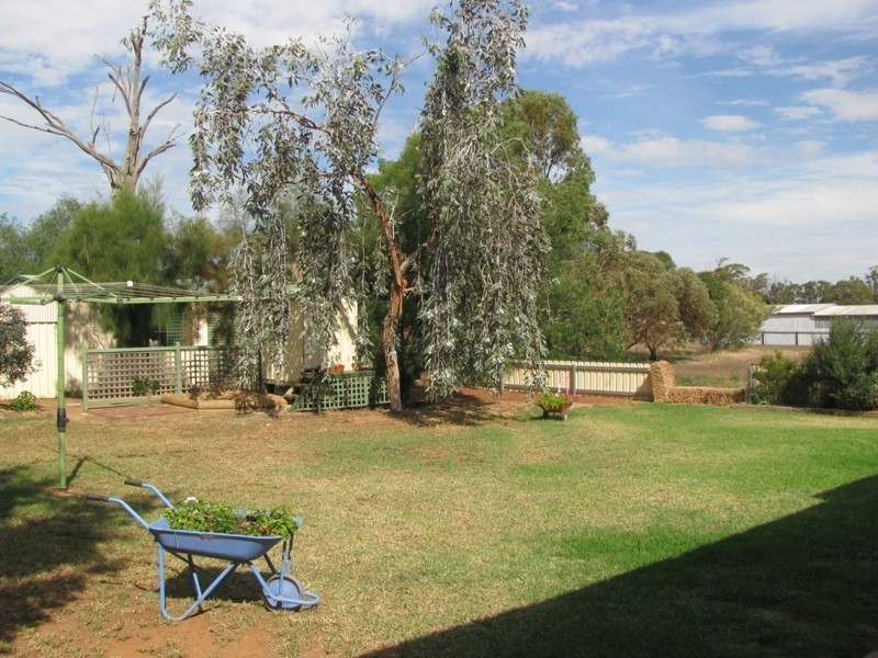19 Logan Street, Coolamon NSW 2701