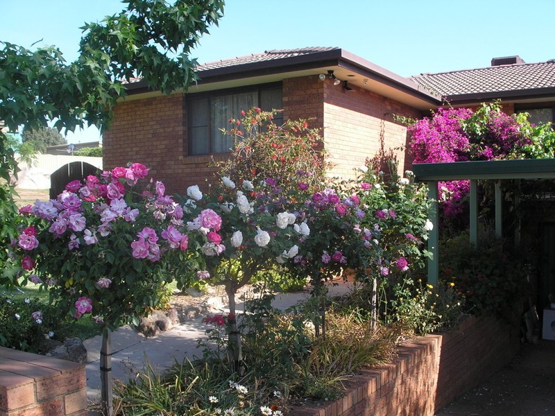 202  William Street, Young NSW 2594