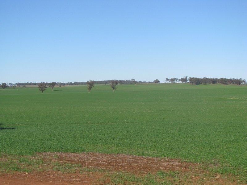 Coolamon NSW 2701