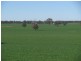Coolamon NSW 2701