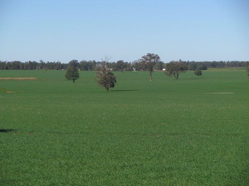 Coolamon NSW 2701