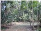 Kuranda QLD 4881